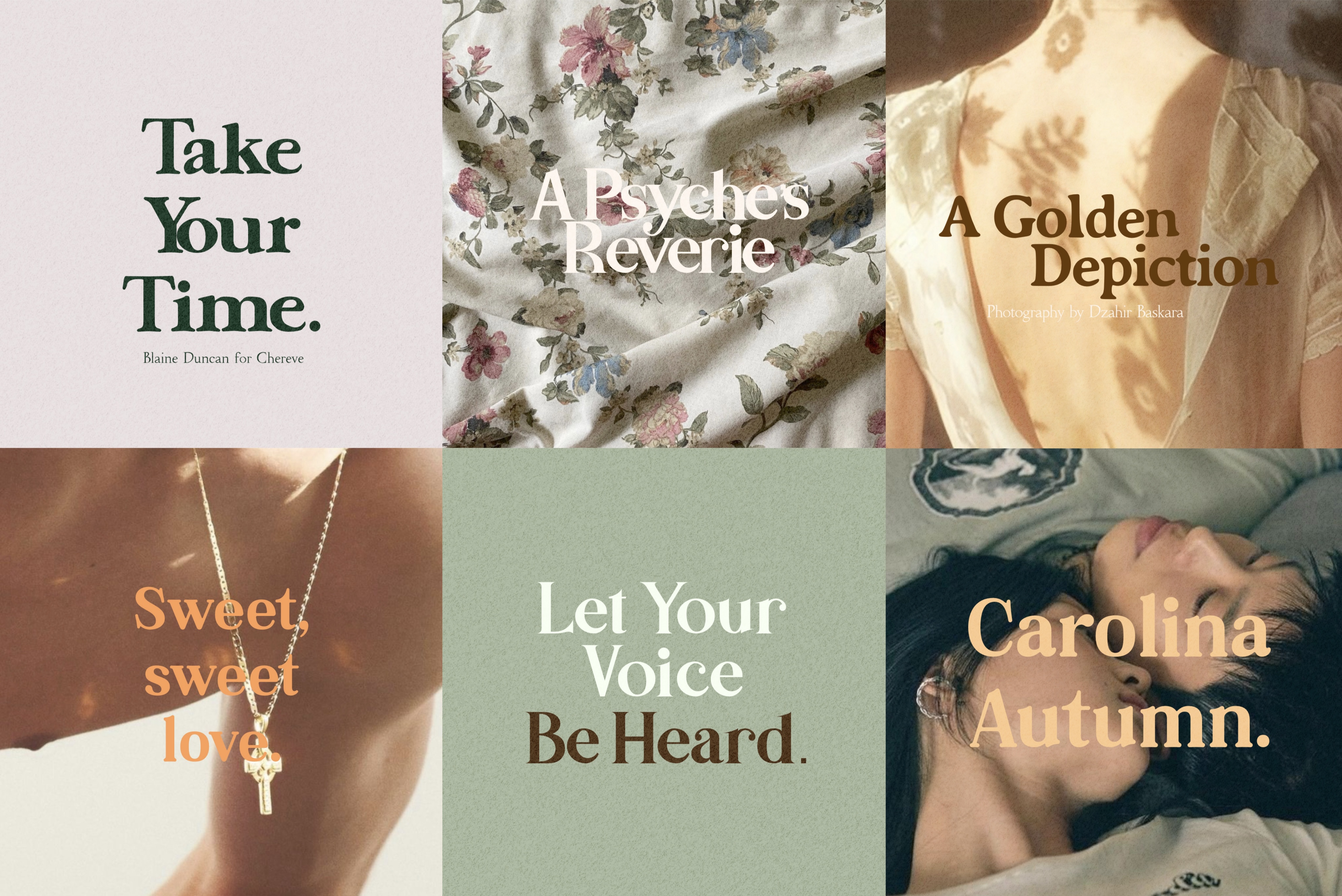A Psyche's Reverie Banner